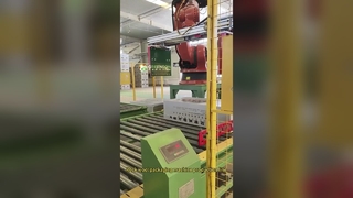 Μηχανή συσκευασίας μηχανής παραγωγής πετροβάμβακα4